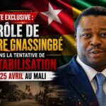 Togo’s constitutional overhaul: faure gnassingbé’s quest for enduring power