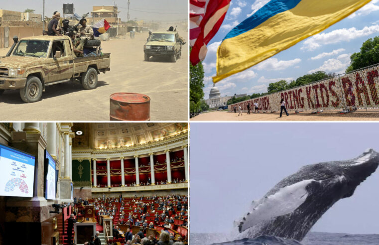 Mali’s evolving security landscape: assessing the Jnim-FLA alliance