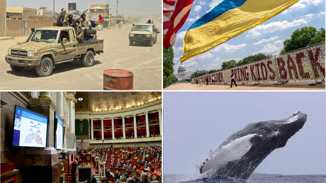 Mali’s evolving security landscape: assessing the Jnim-FLA alliance
