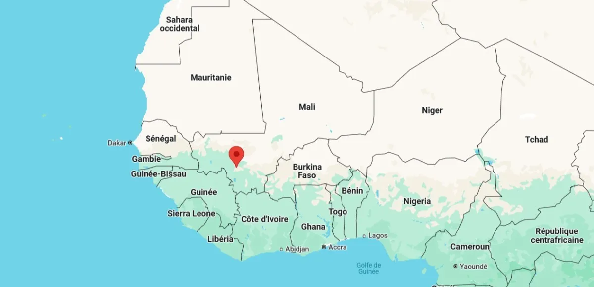 Mali protests in Bamako against potential political party dissolution