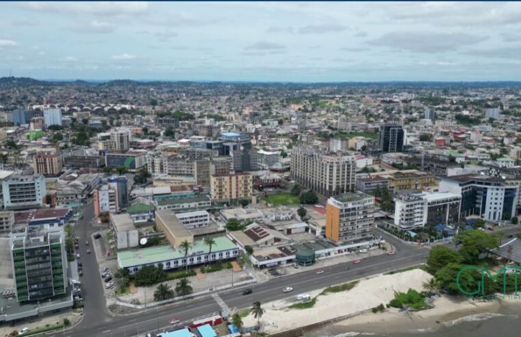 Gabon’s growing foreign investment: a CEMAC economic leader