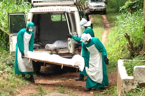 DRC Ebola Crisis Enters New Territory: Over 500 Deaths Confirmed