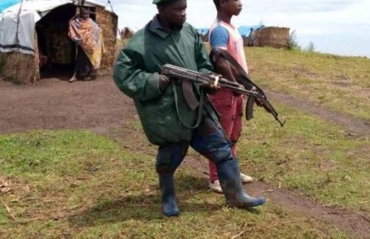 CRP/FRP’s struggle for legitimacy in Ituri amidst regional tensions