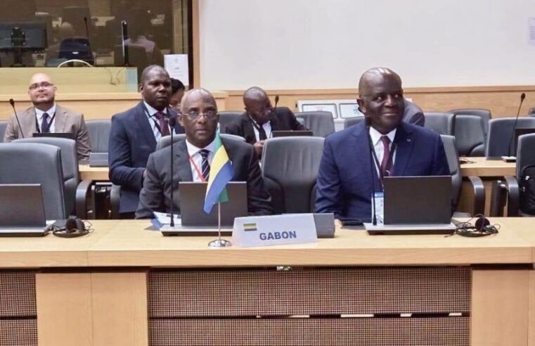 Gabon’s evolving diplomacy: strengthening its voice in the global South