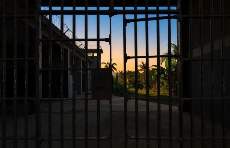 Six PDCI leaders walk free after nine months behind bars in Abidjan