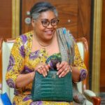 Niger’s National Development Plan: BNI Seeks Strategic Partnership in Financing Key Projects