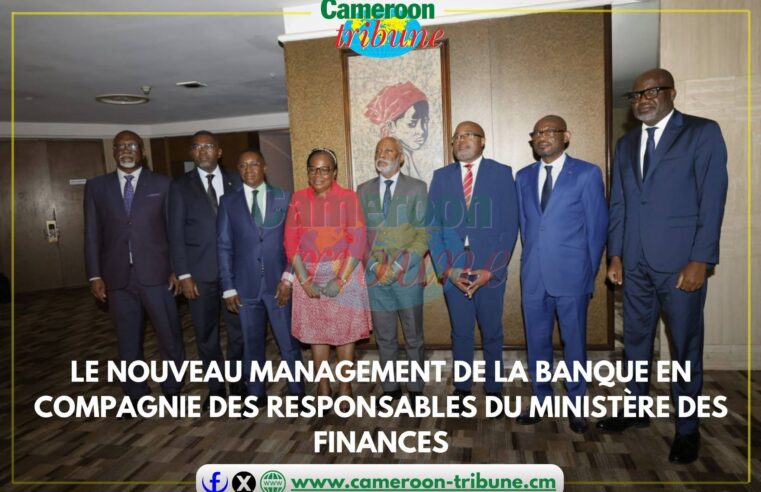 Cameroon bank leadership shake-up as state takes control