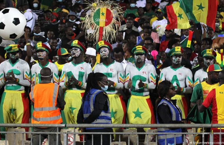 Senegal football federation faces scrutiny after lions’ world cup exit