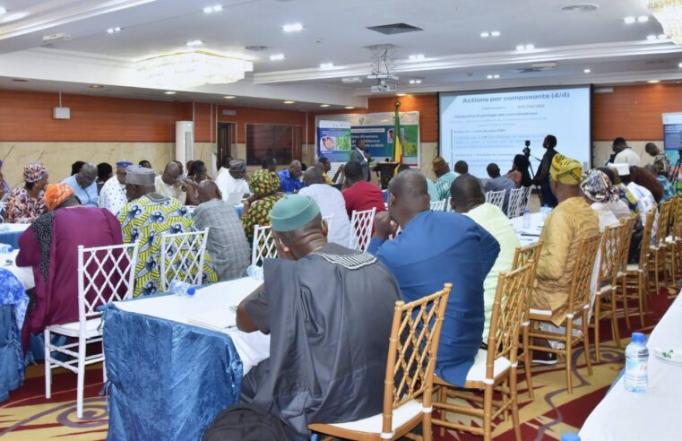 Bénin’s food systems project: A game-changer for maize and rice farming