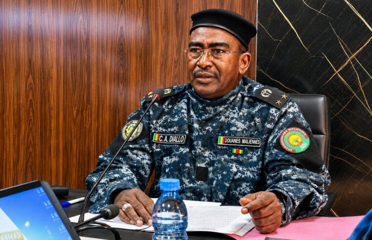 Inside look at Mali’s customs reshuffle: power plays and hidden agendas