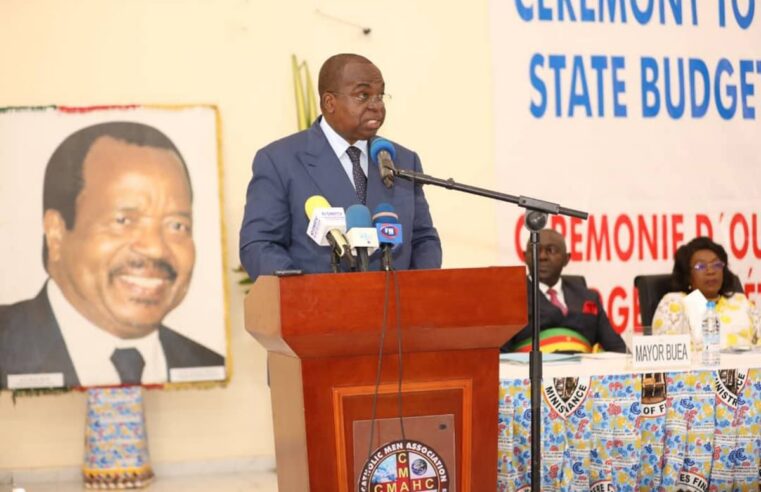Cameroon debt risks rise as fitch issues speculative b rating