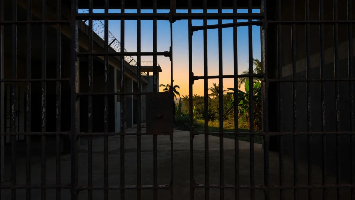 Ivorian opposition leaders freed after nine months in custody
