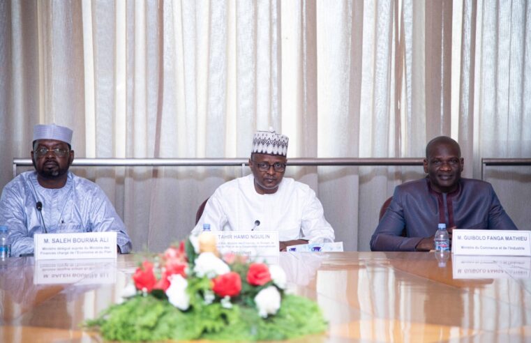 Chad economic outlook 2026: cnef forecasts 5.3% gdp growth
