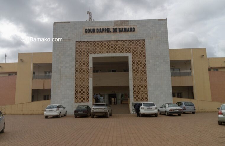 Mali: justice examines alleged plot linked to bah n’daw’s allies