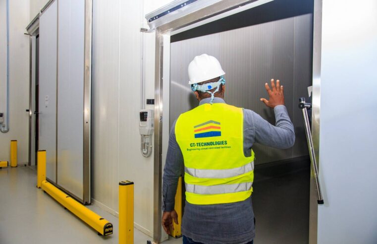 Bénin: how high-tech farming and logistics are boosting fruit exports