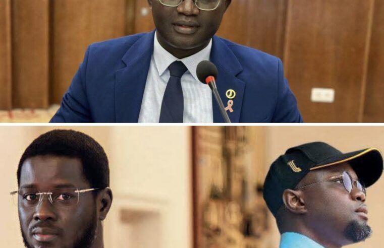 Senegal politics: minister denounces sonko’s victimization tactics