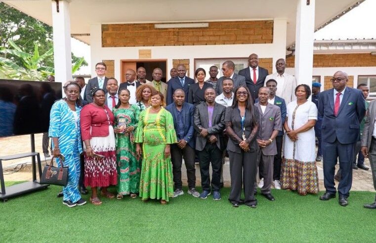 Djoutou’s Honey Revolution: Transforming Local Economies with Sustainable Development