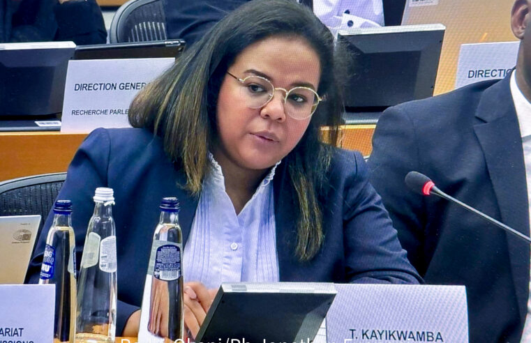 Drc champions responsible natural resource governance for global peace