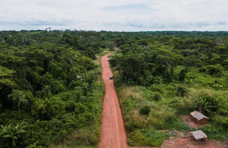 Cameroon faces massive african development bank funding cancellation risk