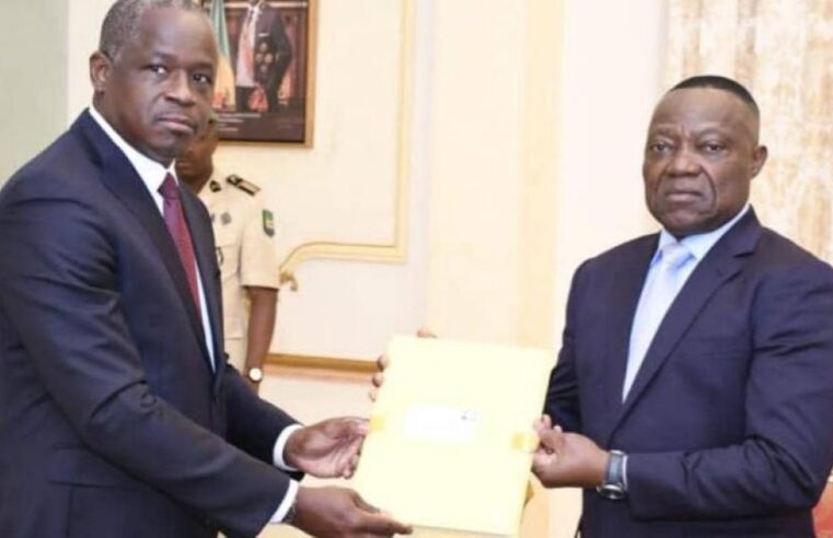 Gabon census data presented to constitutional court for validation