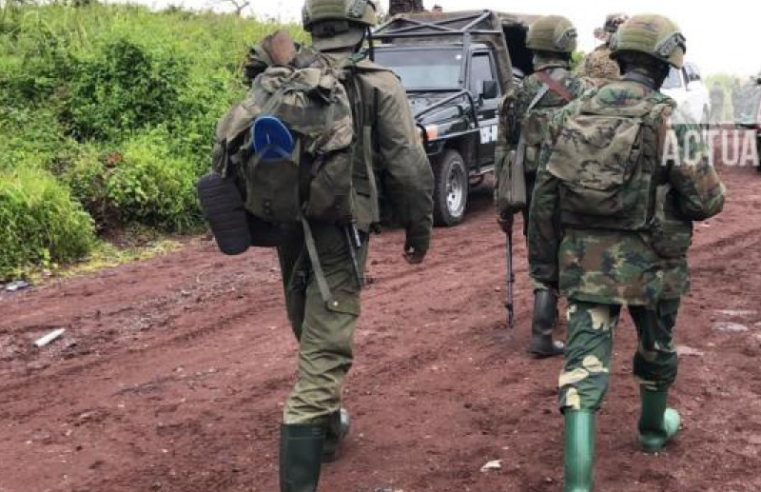 RDC : « La responsabilité est davantage militaire », Christian Moleka dresse un bilan mitigé de la guerre à l’Est