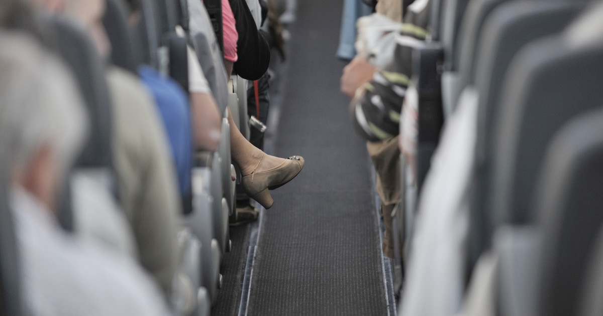 Pilot mistakenly declares argentina winners of world cup final in flight