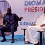 Cameroun: Cacao atteint un nouveau record de 2 600 FCFA en fin de campagne