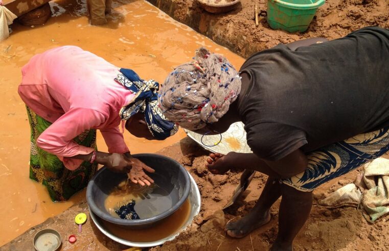 Cameroon’s elusive gold: billions slipping from state control