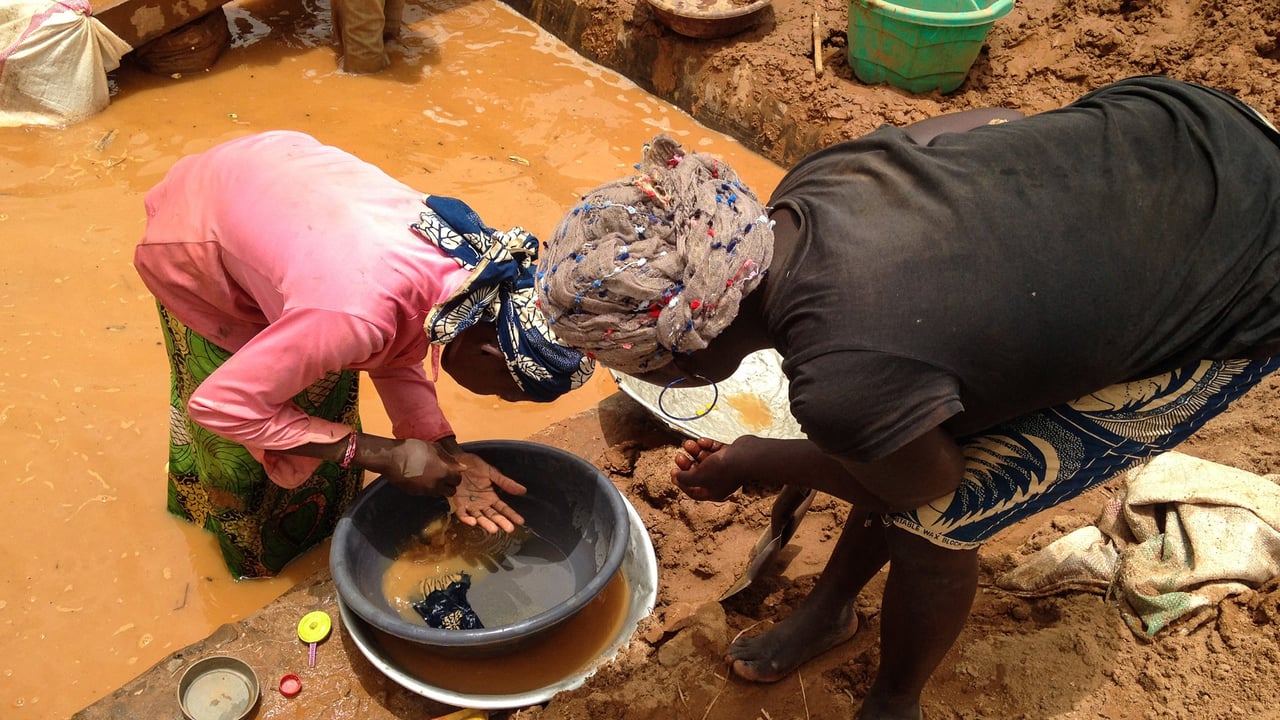 Cameroon’s elusive gold: billions slipping from state control