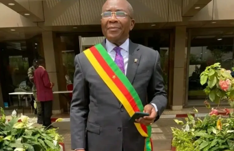Nintcheu urges constitutional council to declare presidential vacancy in Cameroon