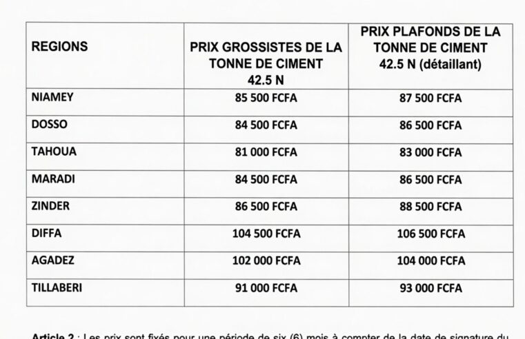 Niger cement price cap exposes market vulnerabilities