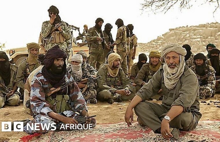 Mali’s northern conflict: understanding the Azawad Liberation Front’s quest for independence
