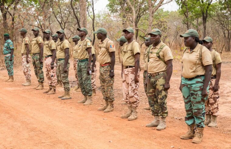 Chad enforces ban on military-style attire for forestry agents