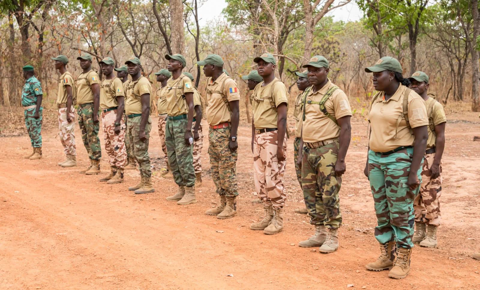 Chad enforces ban on military-style attire for forestry agents