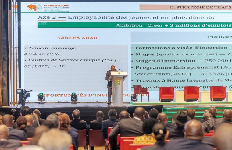 Niger’s National Development Plan: BNI Seeks Strategic Partnership in Financing Key Projects