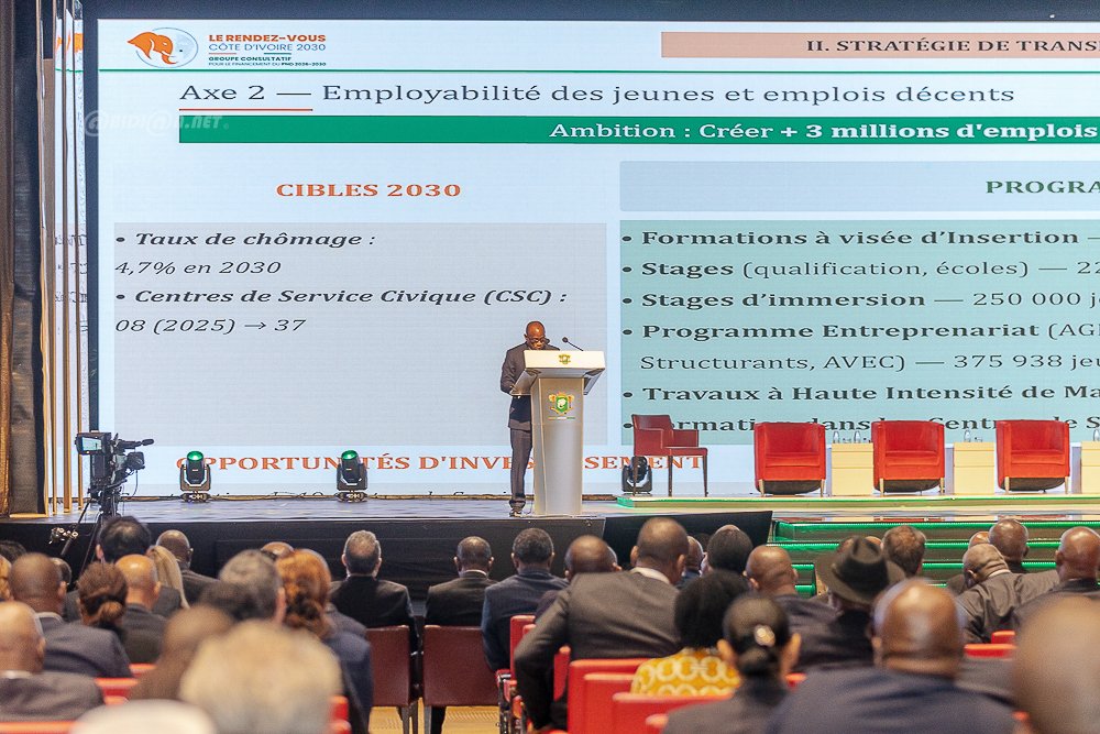 Niger’s National Development Plan: BNI Seeks Strategic Partnership in Financing Key Projects