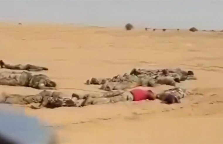 Mali soldiers and civilians face brutal violations as junta stays silent