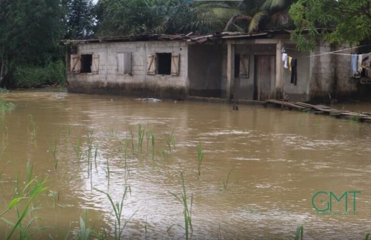 Gabon facing sharp decline in human development since 2021