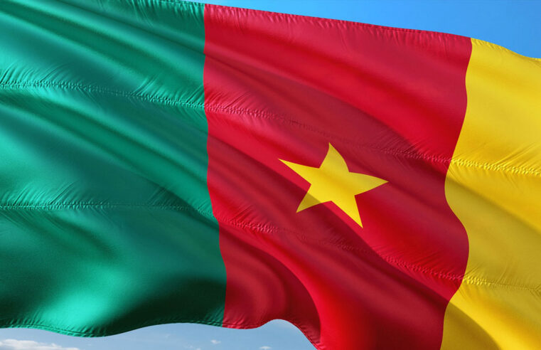 Cameroon’s visa policy: why it stands apart in africa’s open border movement
