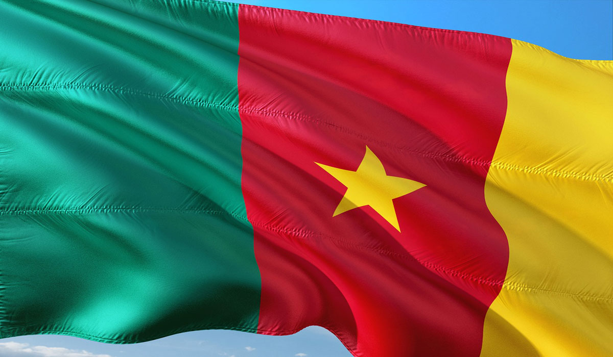 Cameroon’s visa policy: why it stands apart in africa’s open border movement
