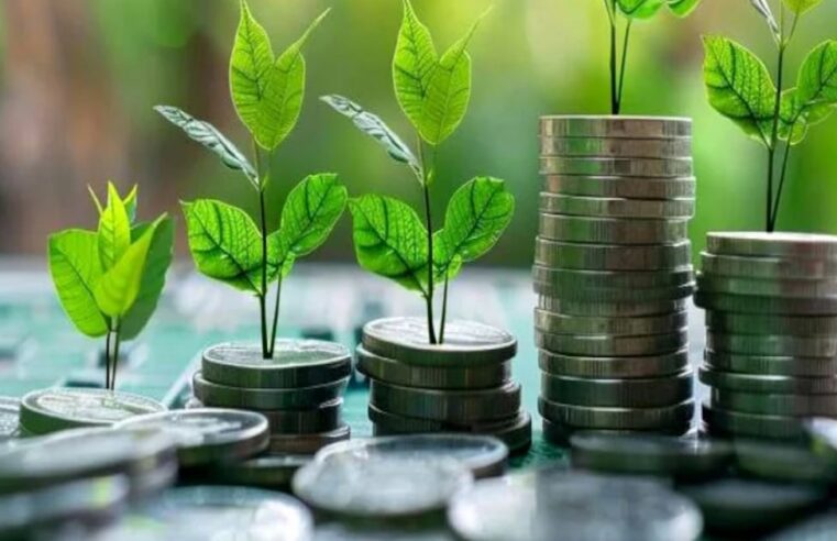 Morocco unveils strict green finance rules to drive low-carbon economy