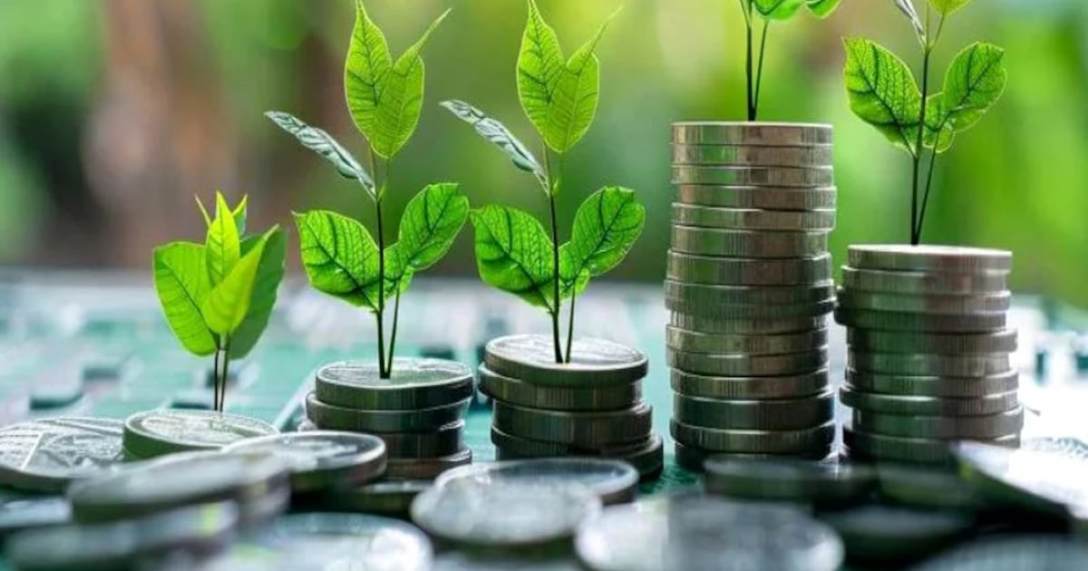 Morocco unveils strict green finance rules to drive low-carbon economy