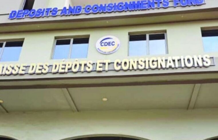 Cameroon’s CDEC: a vital engine for infrastructure development