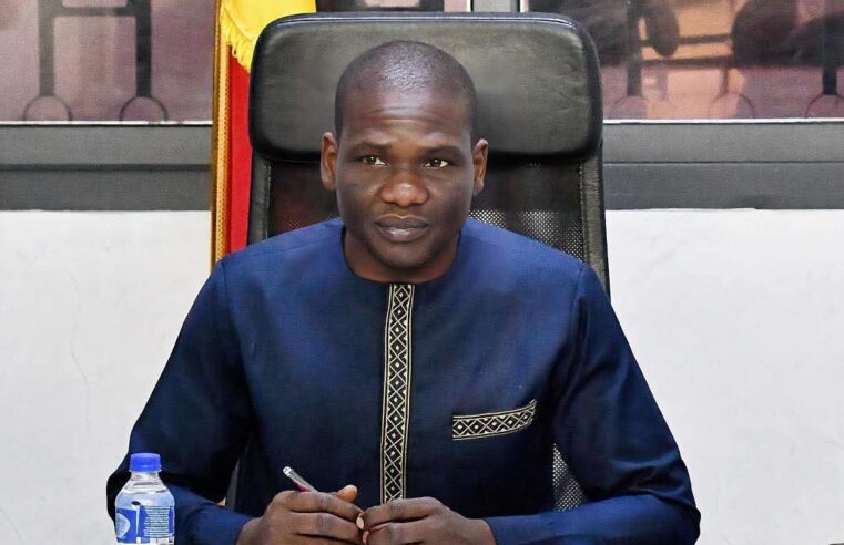 Chad authorities halt sales of four unsafe yoghurt brands in N’Djamena