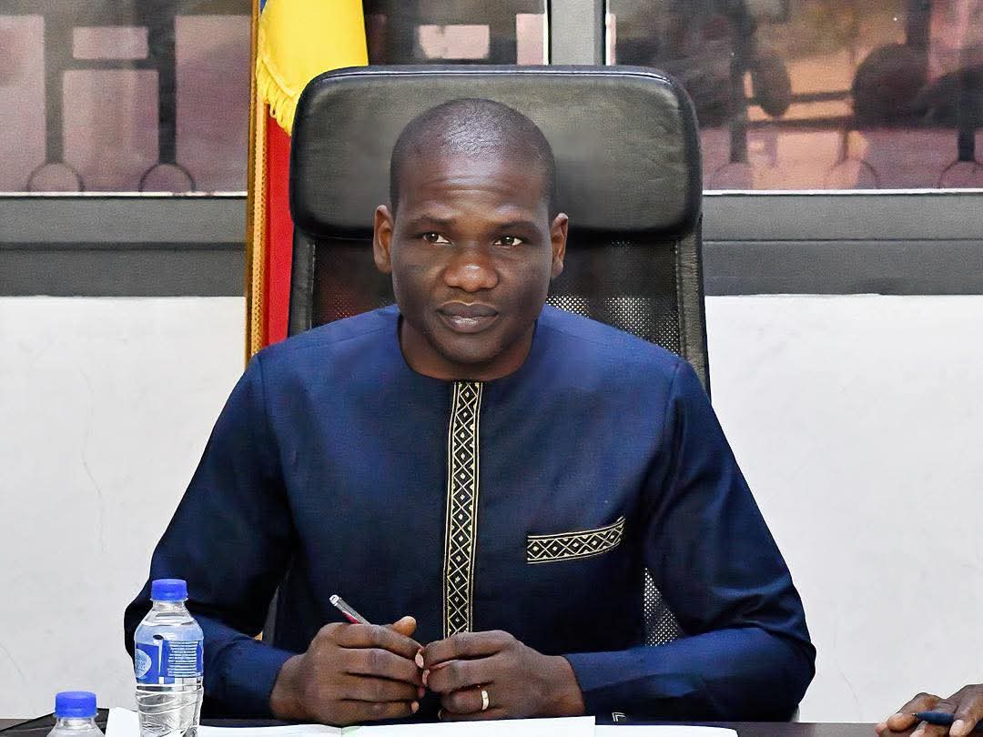 Chad authorities halt sales of four unsafe yoghurt brands in N’Djamena