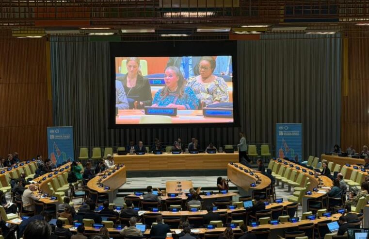 DR Congo challenges un over Rwanda’s military inaction at critical minerals summit