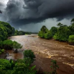 Abuja Cacao Alliance Poursuit Transformation du Secteur