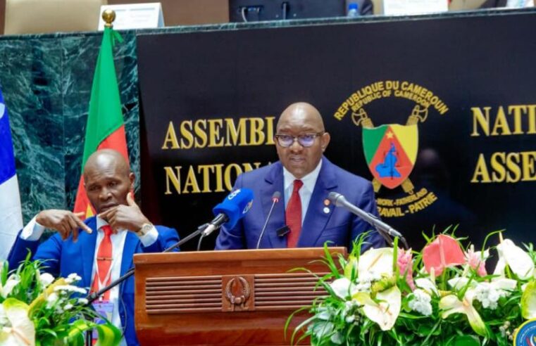 Democratic Republic of Congo highlights ecological crisis amid regional tensions at Yaoundé assembly