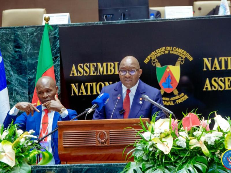 Democratic Republic of Congo highlights ecological crisis amid regional tensions at Yaoundé assembly