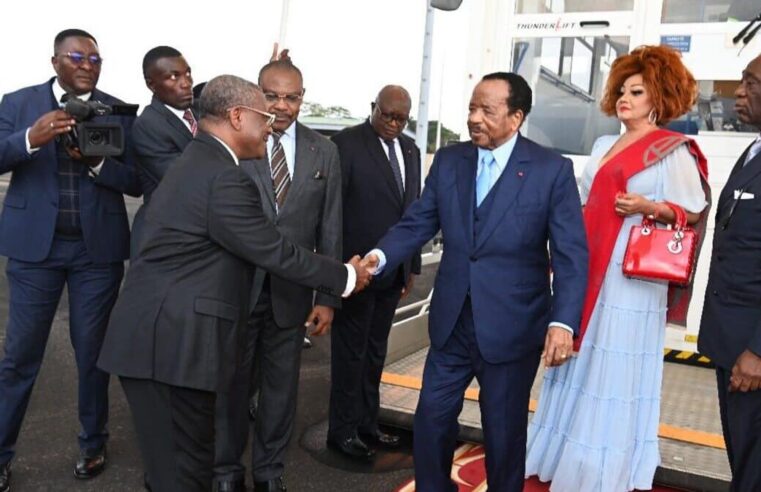 Cameroon politics: is power truly vacant?